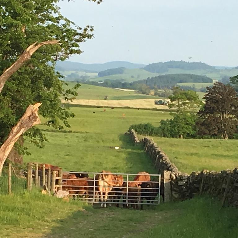 Chipperkyle Country House B&B Kirkpatrick Durham 外观 照片